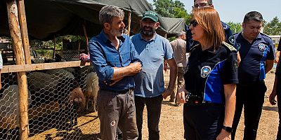 SEYHAN BELEDİYESİ KURBAN BAYRAMI’NA HAZIR